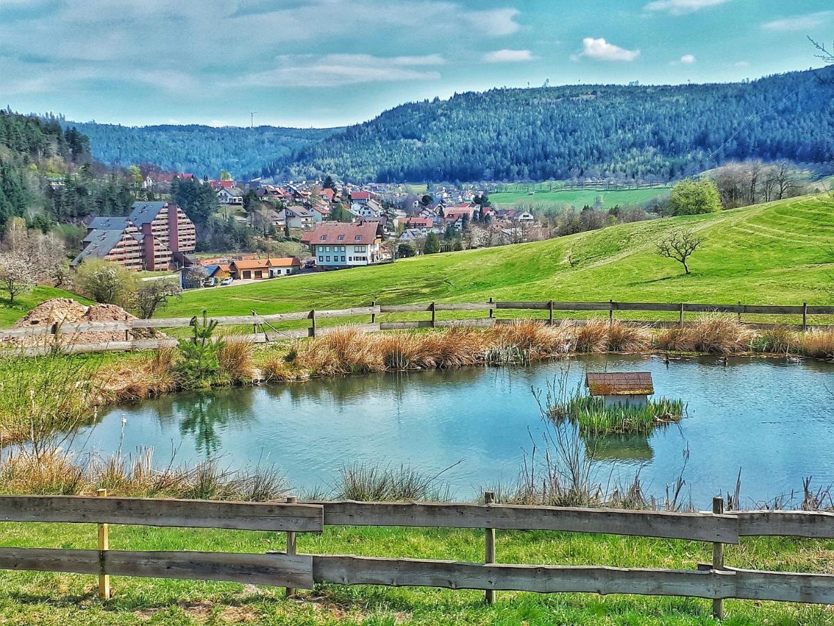 Апартаменты Schwarzwald Woelkchen Байрсброн Экстерьер фото