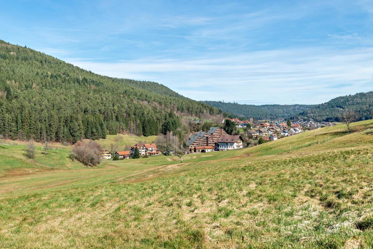 Апартаменты Schwarzwald Woelkchen Байрсброн Экстерьер фото